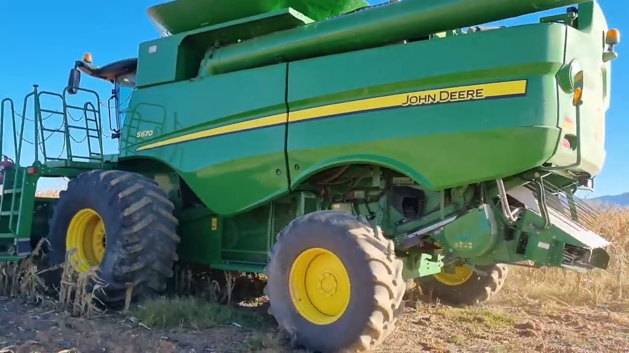 Corn harvest 2022 in South Africa