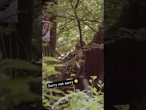 One Burst, One Headshot. 🎯😗 sorry pal! 😅 #airsoft #milsim #headshot #burstfire