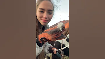 Отрезала гриву жеребёнку 🥲