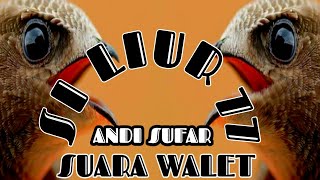 SUARA INAP BURUNG WALET - Suara Inap Liur 77 by Andi Sufar