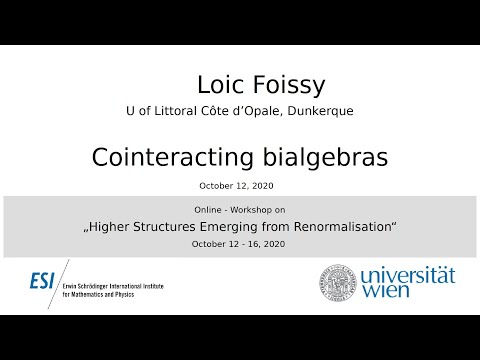 Loic Foissy - Cointeracting bialgebras