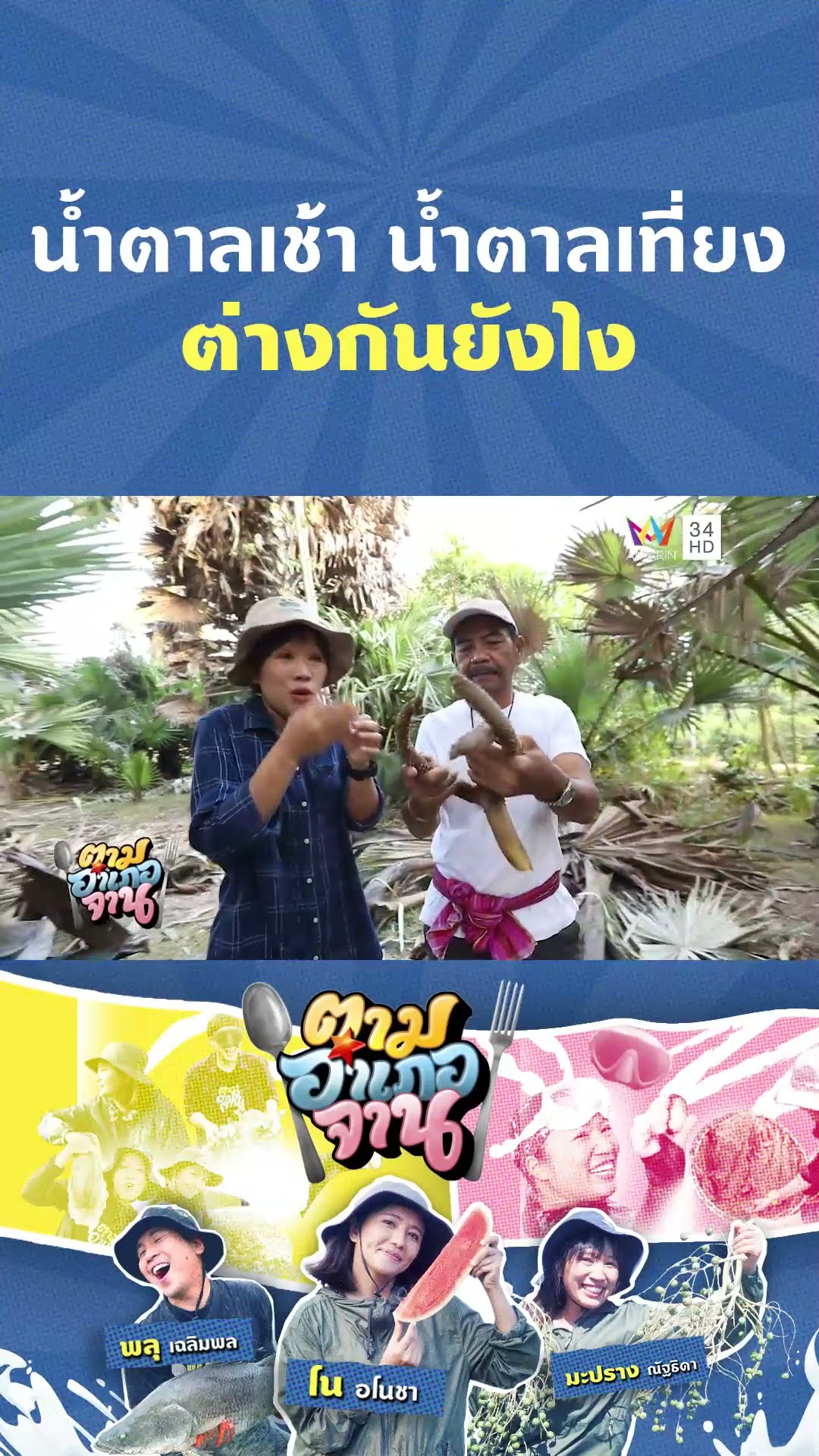 น้ำตาลโตนดเช้า น้ำตาลโตนดเที่ยง ต่างกันตรงยังไง | ตามอำเภอจาน