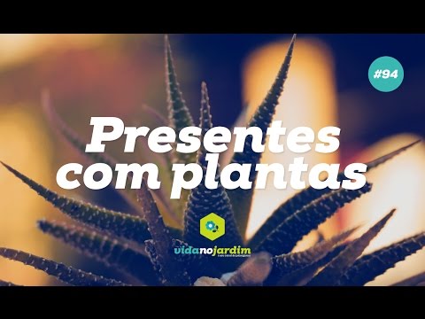 Vídeo: Dando sementes como presentes: dicas e ideias para presentes de sementes DIY