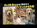 ダイエット頑張った🐶
