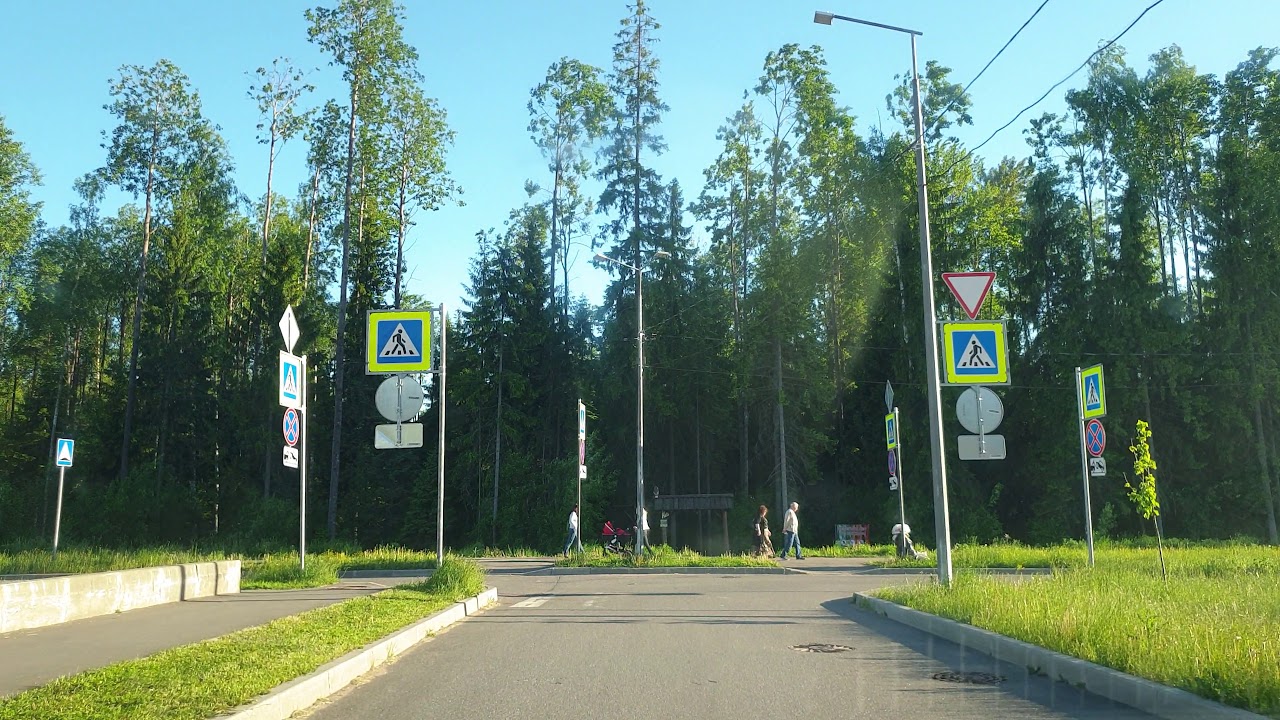 Осаго в сертолово