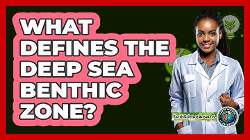 What Defines The Deep Sea Benthic Zone?