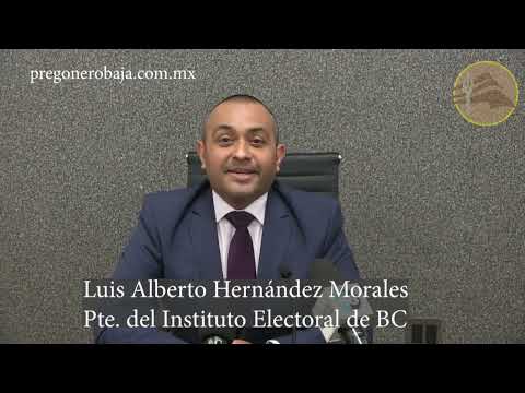 Ordena Instituto Electoral al “terrible” Morales retirar propaganda personal