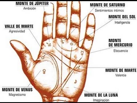 Las lineas dela mano