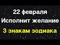 22 февраля исполнит желание 3 знакам зодиака.