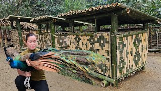 5 Days: Build Bamboo House For Peafowl Bird - Start To Finish | Lý Thị Ca