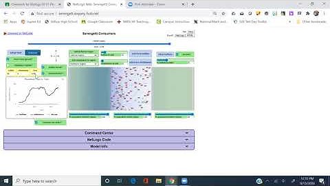 Serenget Simulation _10 buffalo seasonal rain