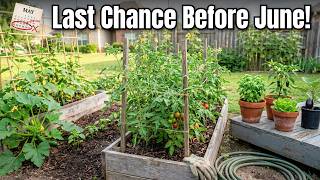 Plant These BEFORE JUNE! 15 Crops You Must Start Right Now