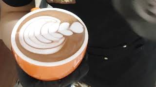 8 Stuck Tulip Ramzp Official