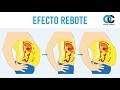 ¡No pierdas grasa sin saber esto antes!  Efecto rebote, explicación fisiológica