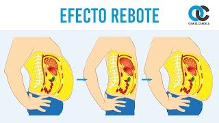 ¡No pierdas grasa sin saber esto antes!  Efecto rebote, explicación fisiológica