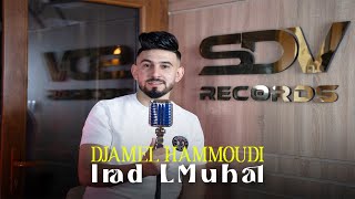 Djamal HAMMOUDI - IRAD L MUHAL- (Clip Officiel 4K)