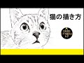 [10000印刷√] 簡単 猫 リア�� イラスト 215357-猫 イラス��� リアル 簡単