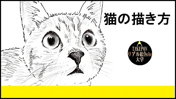 動物の描き方 猫のリアルなイラストが誰でも簡単に上手くなる方法ー中学校の美術で使える動物スケッチの書き方のコツ Mp3