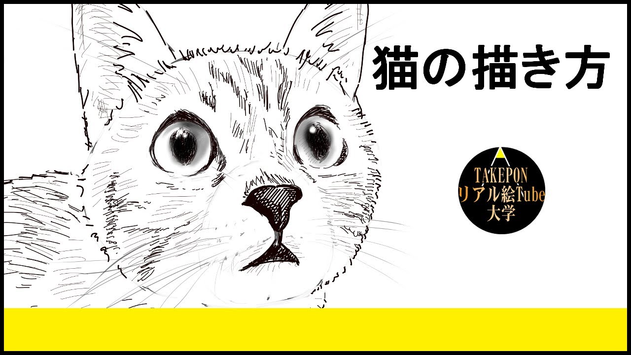 動物の描き方 猫のリアルなイラストが誰でも簡単に上手くなる方法ー中学校の美術で使える動物スケッチの書き方のコツ イラスト上達法 まとめ