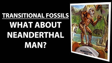 Transitional Fossils - Neanderthal Man