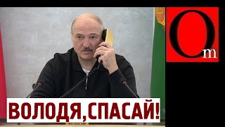 Ультиматум истек. Беларусы в ярости, будут отрывать усы!