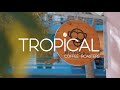 Tropical Coffee Roasters - Bonobo Coffee Roasters