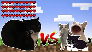 Giant Maxwell cat vs all cats! Meme battle