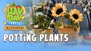 Hay Day “Crafty” Kitchen: Potting Plants