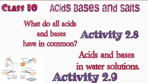 What do all acids and bases have in common? Activity 2.8 | Activity 2.9| Class 10| Acid Bases and Sa