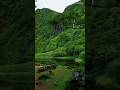 ලස්සනම ලොකෙශන් එකක කරපු සුපිරියක් | sri lankan place #emraanhasmi #lifeisbutadream #emraan #song