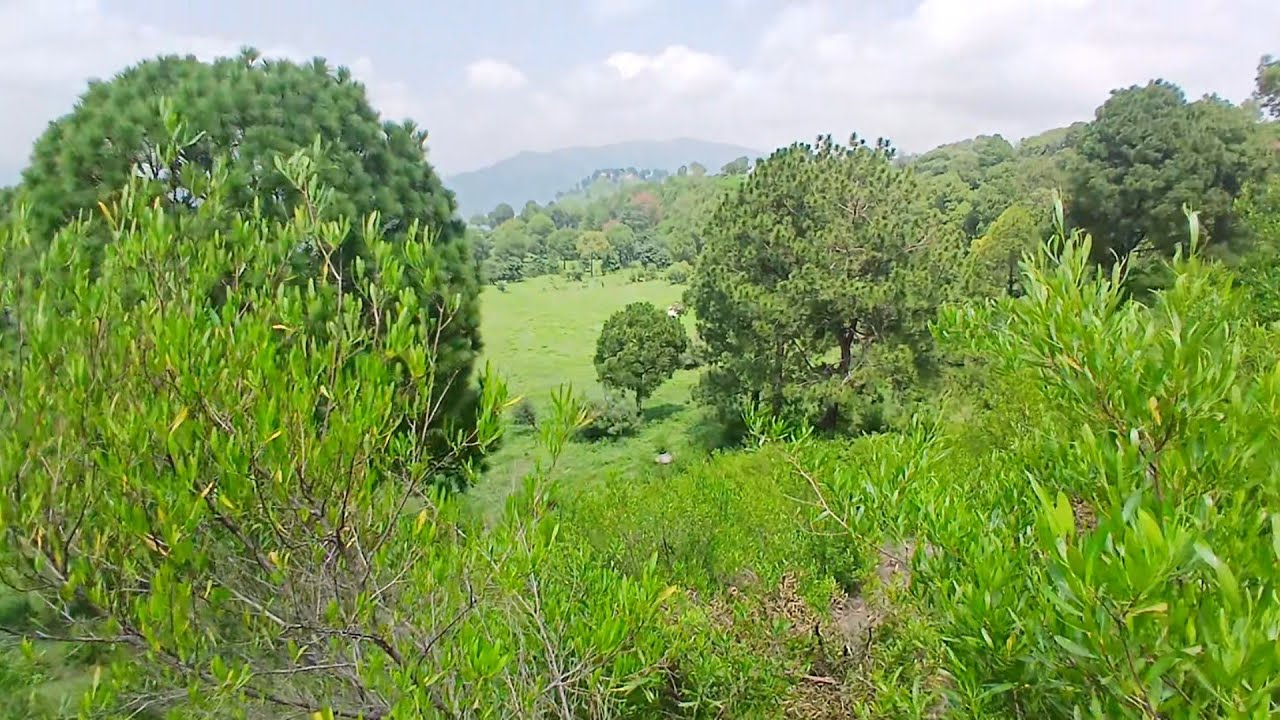 Karore picnic point/forest  near Islamabad