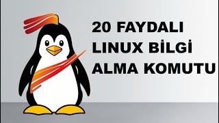 Linux Kullanıcıları İçin 20 Faydalı Bilgi Alma Komutu (Hızlı Özet 2025!) Linux Kullanıcıları İçin 20 Faydalı Bilgi Alma Komutu (Hızlı Özet 2025!)