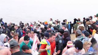 Polar Bear Plunge 2010.mov