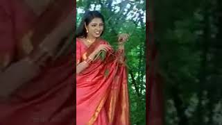 Kaveri Theeradali Baredenu #shorts | Yajamana | Vishnuvardhan | Archana | Kannada Video Song #shorts