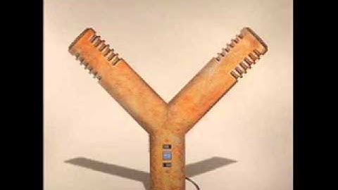 Infinite Scale - In Motion (2005)