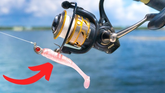 How To Rig The New F.R.E.D. Pink Paddletail Lure To Catch More Fish 