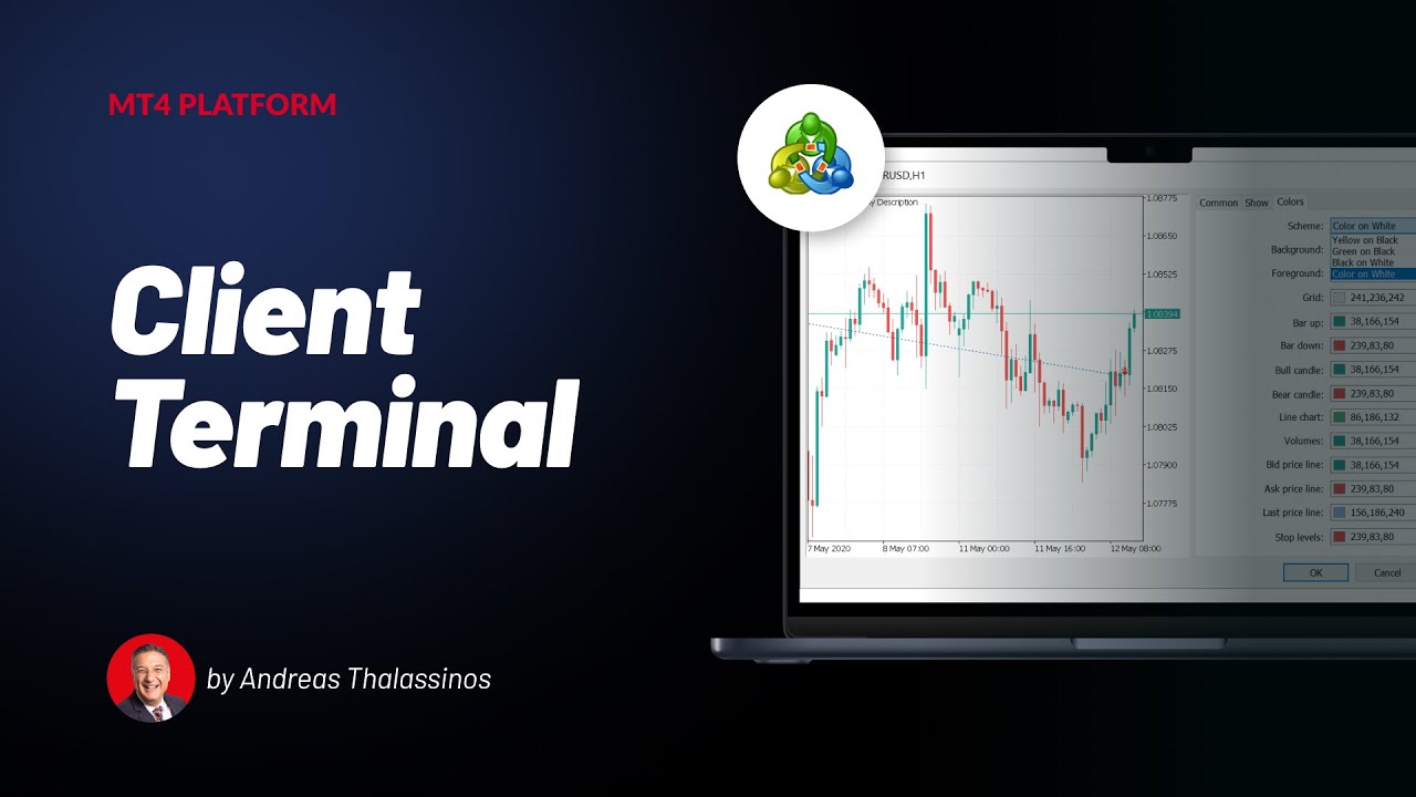 The MT4 Client Terminal - YouTube