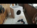 How to make cat house / Изготовление домика для кошки своими руками