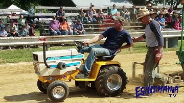 Cub Cadet Wide Frame Pulling in 1,000 LB Class @ Rough & Tumble 2019 Reunion Show