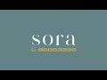 SORA | Former Park View Mansions | Official Launch | (65) 8666 3339