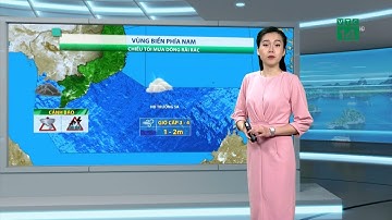 Thời tiết biển 02/06/2019: Vùng biển phía nam biển Đông có mưa rào và dông, tầm nhìn xa kém | VTC14