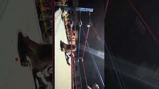 Damion Rage vs Brandon Grimes