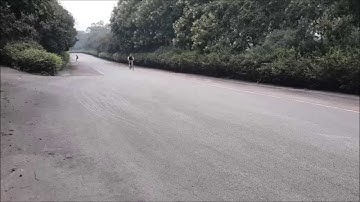 Longboarding Goofy[Switch Stance]_Standup Powerslide Check&Stalefish Check&Stalefish Slide Shuvit