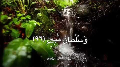 عشائية خاشعة من سورة هود، للقارئ : سلطان المرزوقي