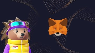 Setting up a Crypto Wallet (featuring Hedgies NFTs) 🦔  | dYdX Grants Program