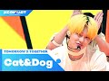 TOMORROW X TOGETHER (투모로우바이투게더) - Cat&Dog (English ver.) | KCON:TACT 2020 SUMMER