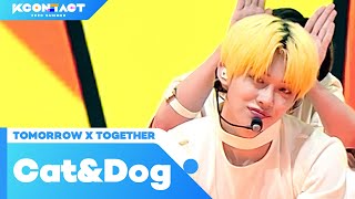 TOMORROW X TOGETHER (투모로우바이투게더) - Cat&Dog (English ver.) | KCON:TACT 2020 SUMMER Resimi