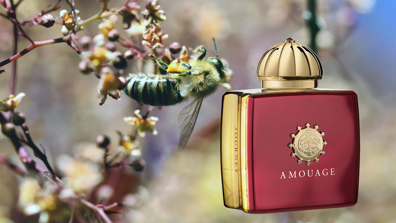 Journey woman. Amouage Journey. Амуаж Мемори Вумен. Amouage Journey 100ml. Amouage guidance.