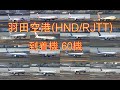 朝の羽田空港 着陸機 30分で60機 お見せします！| 60 PLANES in 30 MINUTES | Morning Arrivals | Tokyo Haneda Plane Spotting