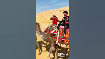 سامر المدني انسان جاي من الفضاء ليا على المريخ اعداء مهرجان انا محترم مش محترم سامر المدني 
